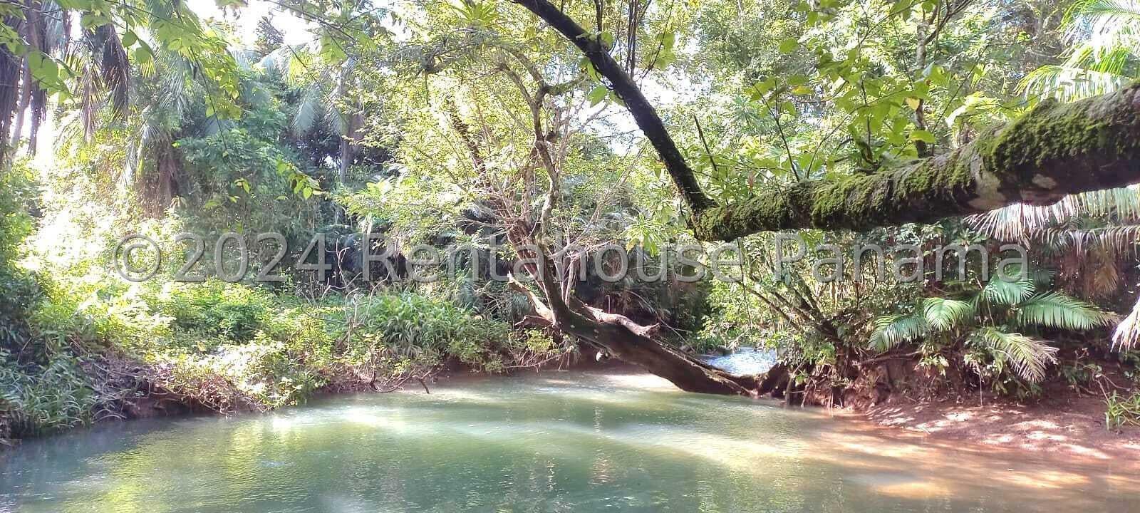 Land for Sale in Isla del Rey Panamá Province 07127
